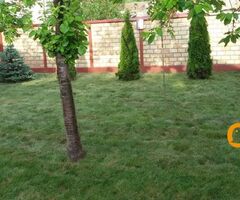Tepih trava i zalivni sistemi