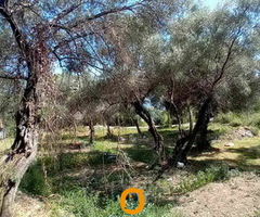 Herceg Novi, građevinski placevi na 1.7 km od centra