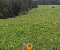 Prodajem placeve u blizini ski centra Igrišta i Han Pijeska