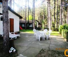 Odmor u Vincima, na Dunavu, u borovoj šumi, povoljno