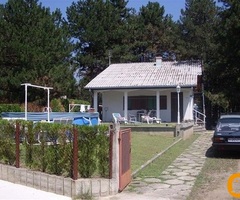 Odmor u Vincima, na Dunavu, u borovoj šumi, povoljno
