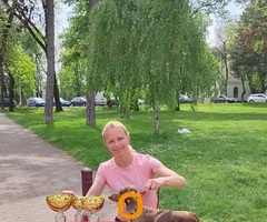 Jazavičari kratkodlaki kunićari