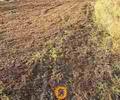 Uslužno freziranje i uredjenje dvorišta - 6