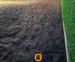 Uslužno freziranje i uredjenje dvorišta - 7