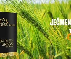 Barley Grass Premium – Ječmena trava