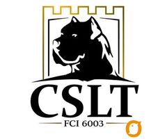 Cane Corso štenci - 9
