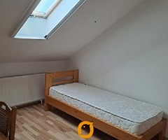 Zemun, Nova Galenika, izdajem sobu - 2